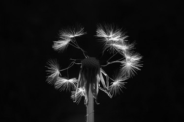 Similar image 10495918