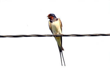 Similar image 10495919