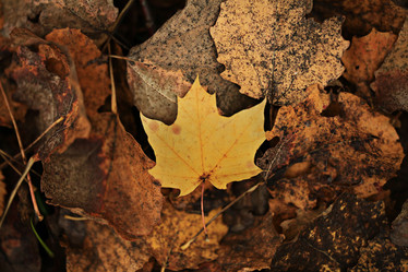 Similar image 10495920