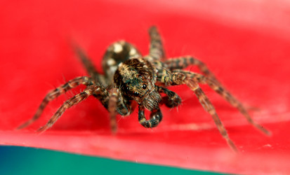 Similar image 10495921