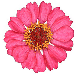 Similar image 10495923