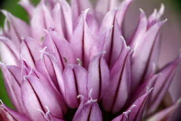 Similar image 10495930