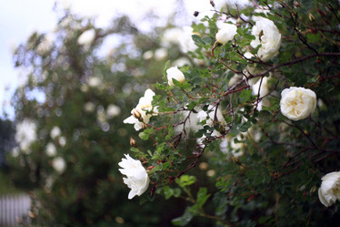 Similar image 10495934