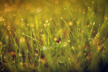 Similar image 10495936