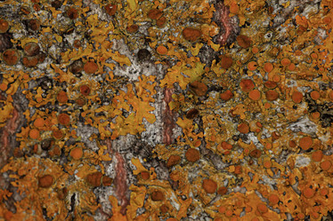 Similar image 10495941