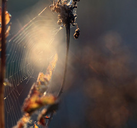 Similar image 10495943