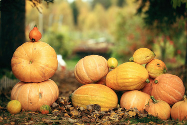 Similar image 10495946