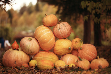 Similar image 10495950