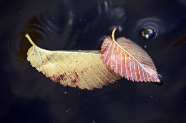 Similar image 10495952