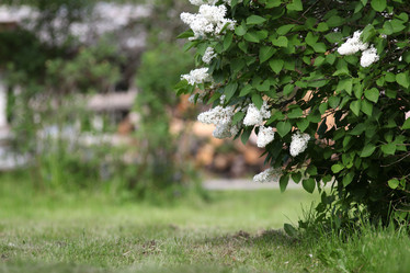 Similar image 10495953