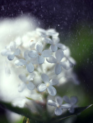 Similar image 10495954