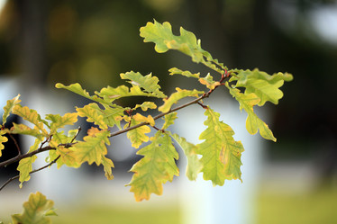 Similar image 10495955