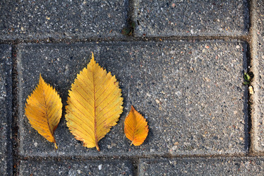 Similar image 10495957