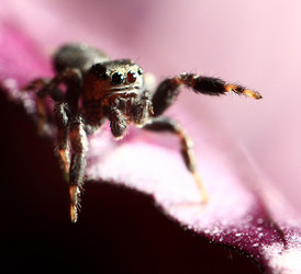 Similar image 10495964