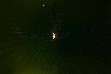 Similar image 10495967