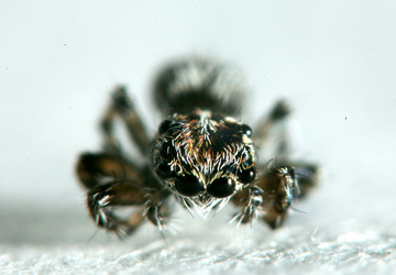 Similar image 10495968