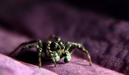 Similar image 10495974