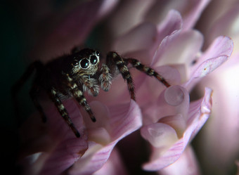 Similar image 10495975