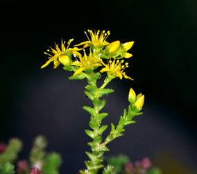 Similar image 10495977