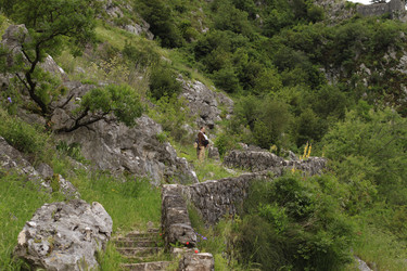 Similar image 10495981