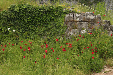 Similar image 10495986