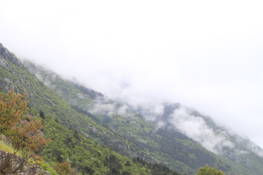 Similar image 10495995