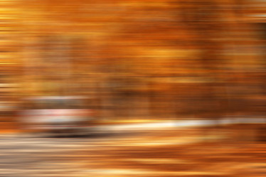 Similar image 10495999