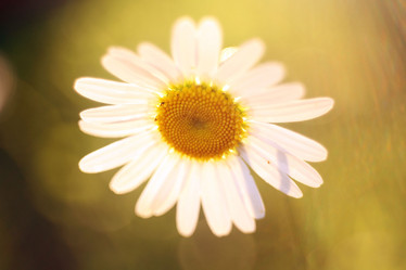 Similar image 10496001