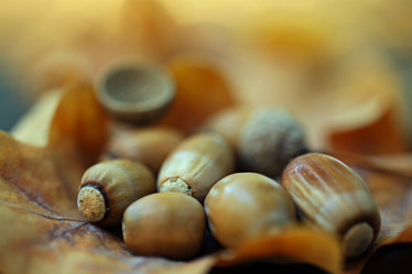 Similar image 10496003