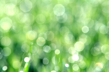 Similar image 10496005