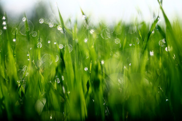 Similar image 10496007