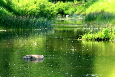 Similar image 10496010