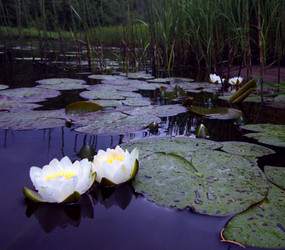 Similar image 10496011