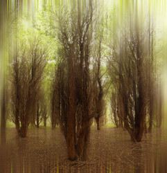 Similar image 10496015