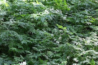 Similar image 10496021