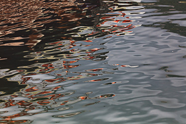 Similar image 10496029