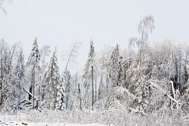 Similar image 10496044