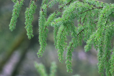 Similar image 10496057