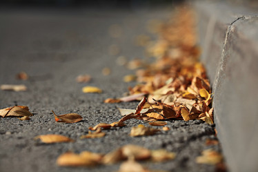 Similar image 10496061