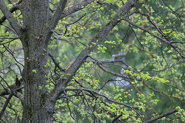 Similar image 10496062