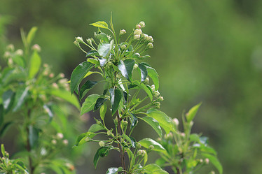 Similar image 10496066