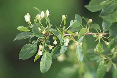 Similar image 10496070