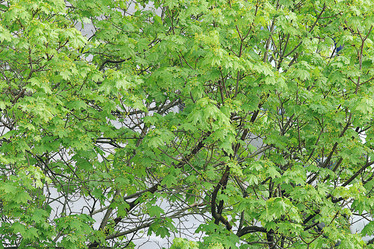 Similar image 10496072