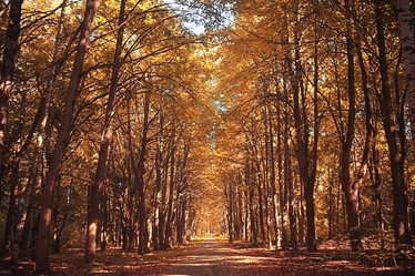 Similar image 10496075