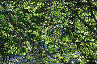 Similar image 10496080