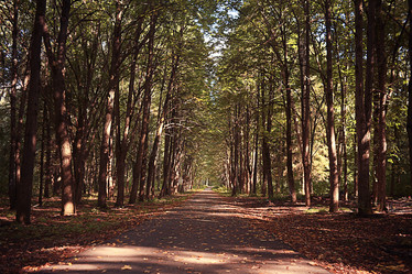 Similar image 10496083