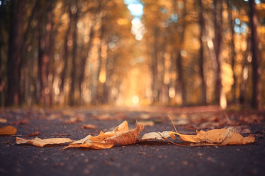 Similar image 10496085