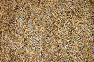 Similar image 10496086