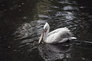 Similar image 10496091