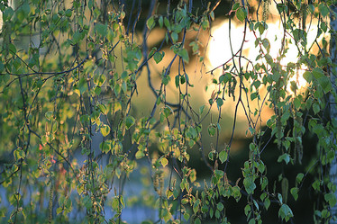 Similar image 10496094